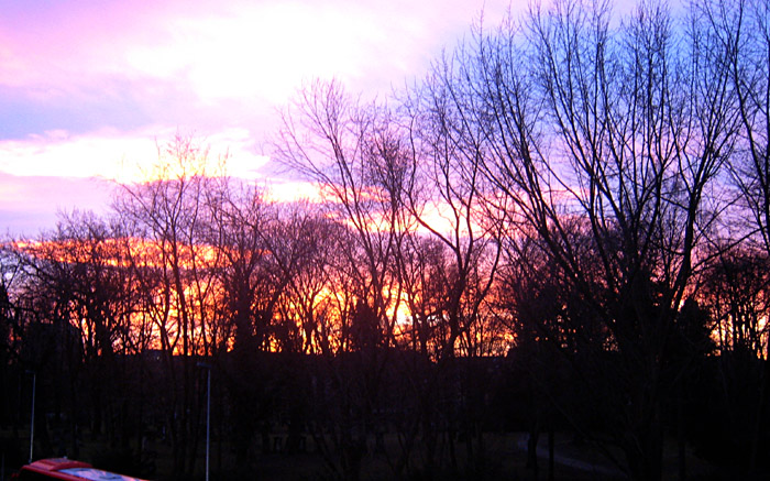 Sonnenuntergang über dem ehemaligen Friedhof hinter der Stadthalle Braunschweig